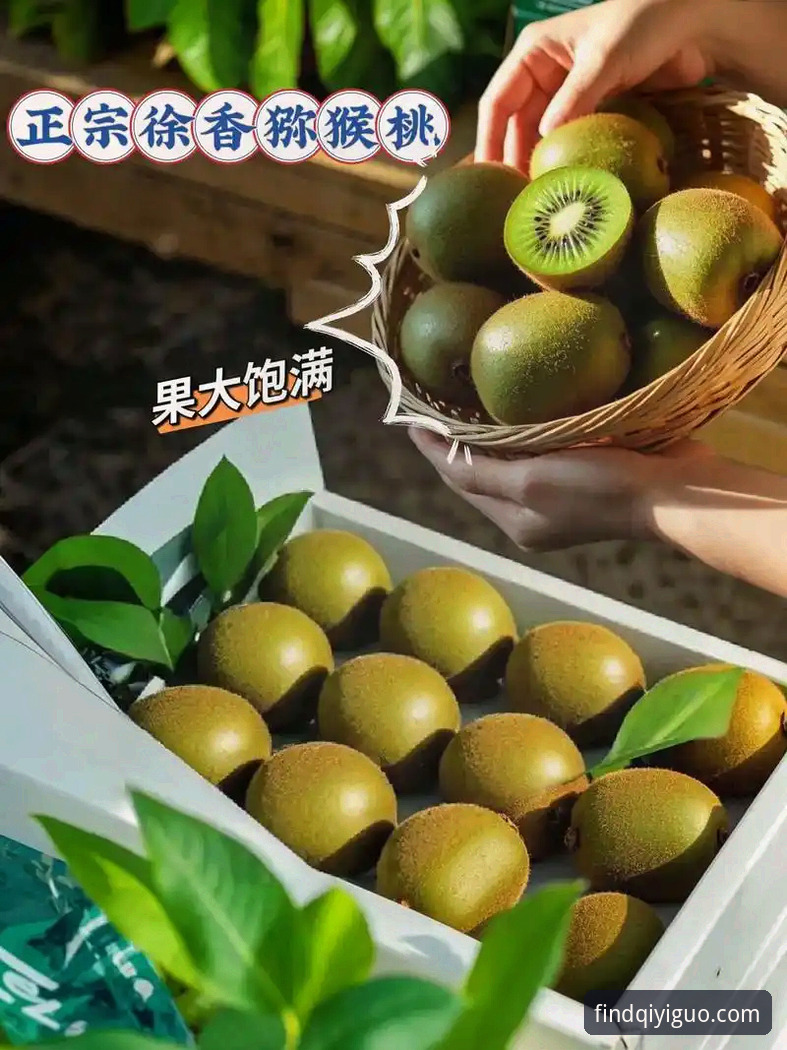奇异果娱乐官网2025最新动态：全新入口升级，用户张蕾亲测稳定性突破